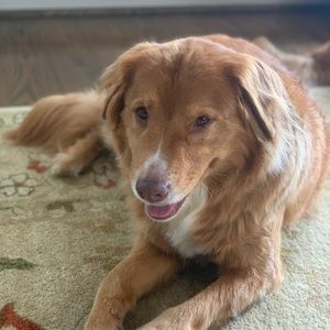 Meet your Posher, Anabel